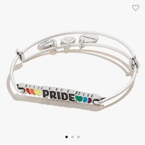 'Pride' Inline Charm Bangle Alex and Ani